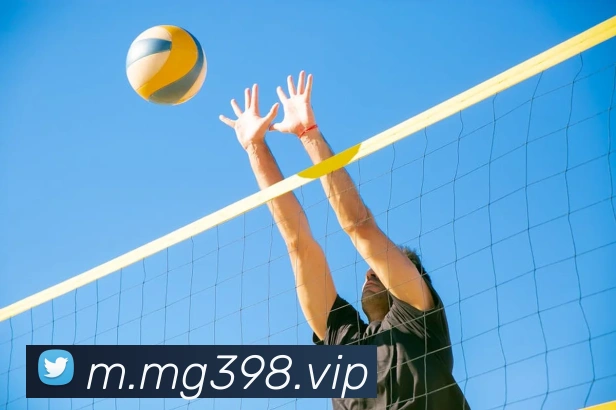 互动解说服务
